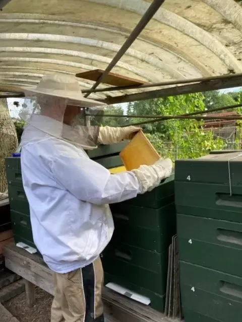 De imker aan het werk bij de kasten